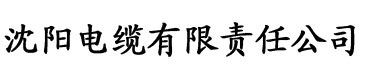 极品家丁之远方来客电缆厂logo